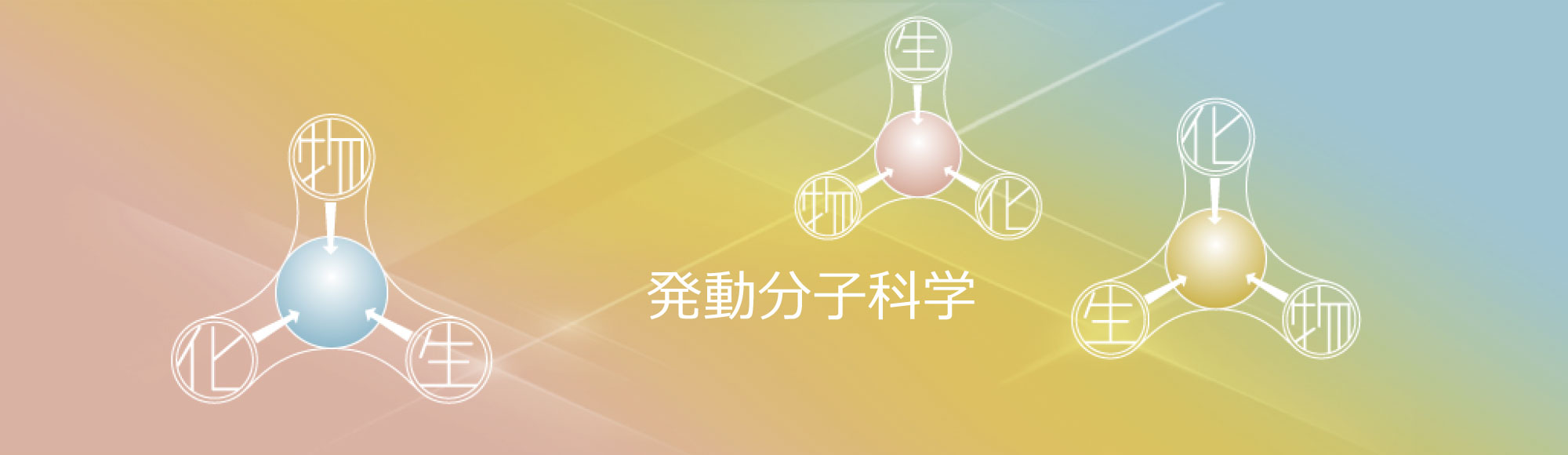 発動分子科学